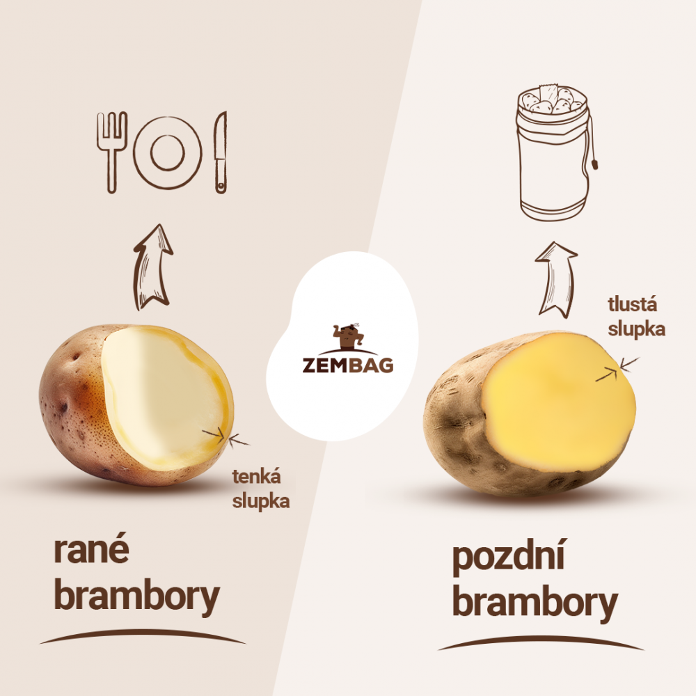 Může jít o obrázek text, kde se píše YOI ZEMBAG ↑ tlustá slupka tenká slupka rané brambory pozdní brambory